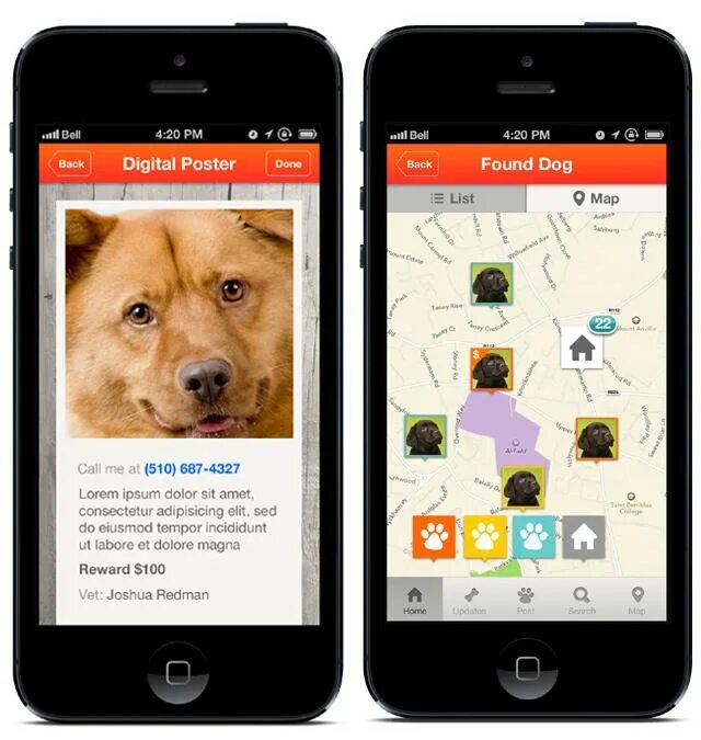Rover приложение. Приложение dogger. dogs приложение старое. animal face recognition app.