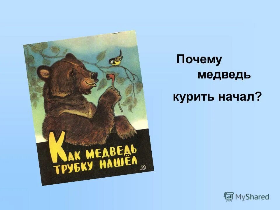 Почему медведь любит. Почему медведь. Медведь курильщик. Медведь закуривает. Курящий медведь.