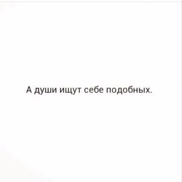 Души ищут себе подобных. Души подобны воинам ищут себе подобных. Люди ищут себе подобных. Души ищут себе подобных цитата.