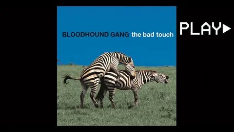 Bad gang