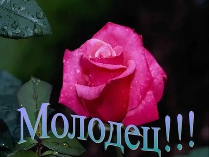 Женская молодец