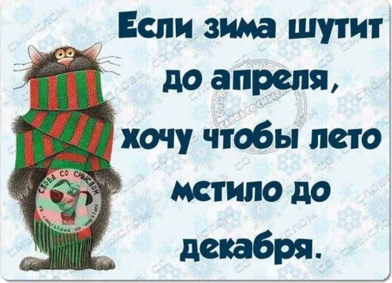 Прикольные картинки про зиму с надписями. Весёлые зимние статусы. статусы про веселую зиму. смешные зимние статусы. зимние статусы прикольные.
