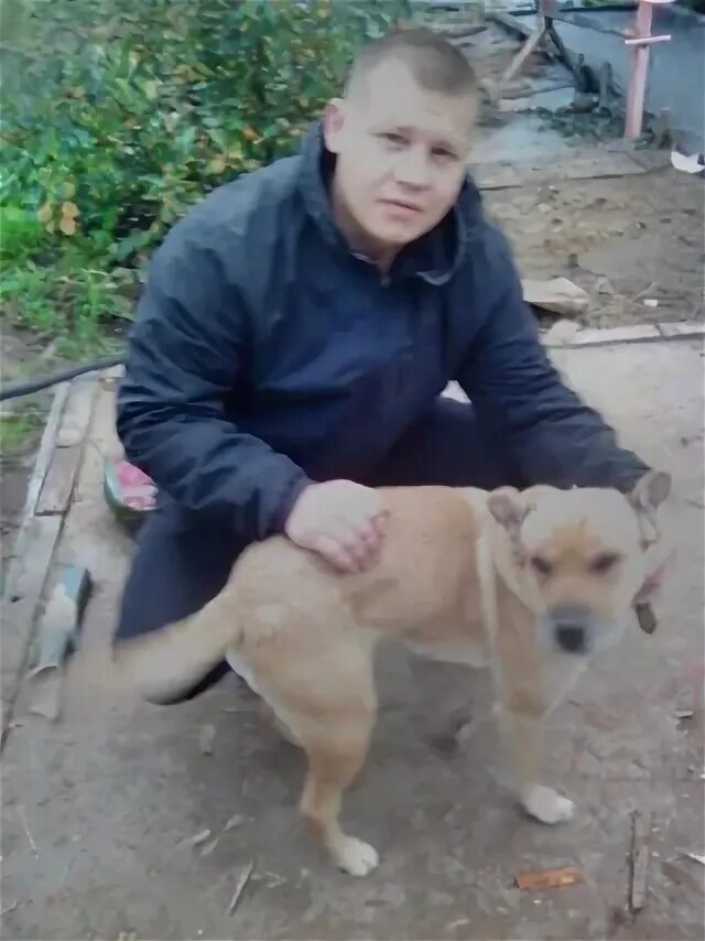 Калина краснокамск. Калина краснокамск. Калина краснокамск. Калина краснокамск. Калина краснокамск.