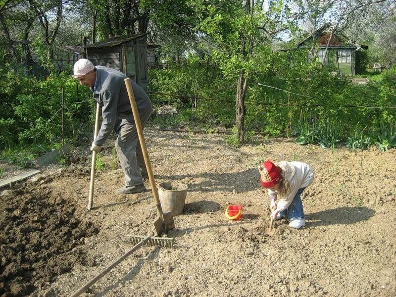 Работаем на дачном участке. Работа на даче. Огород весной. Труд на садовом участке. Работа в саду.