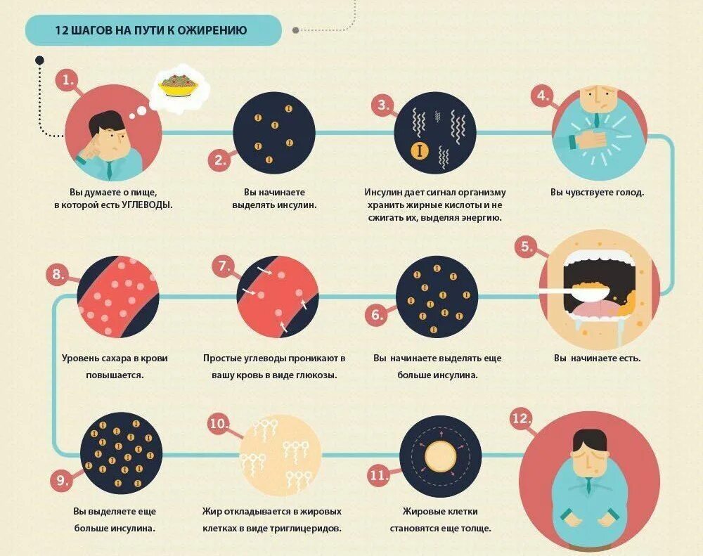 Запах голода. Ожирение от углеводов. Углеводы инфографика. Ожирение инфографика. Интересные факты о углеводах.