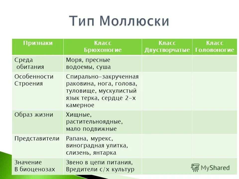 Образ жизни брюхоногих двустворчатых и головоногих. Характеристики классов молюск. Класс брюхоногие моллюски таблица. Тип моллюски сравнительная характеристика классов таблица. Представители головоногих моллюсков 7 класс таблица.