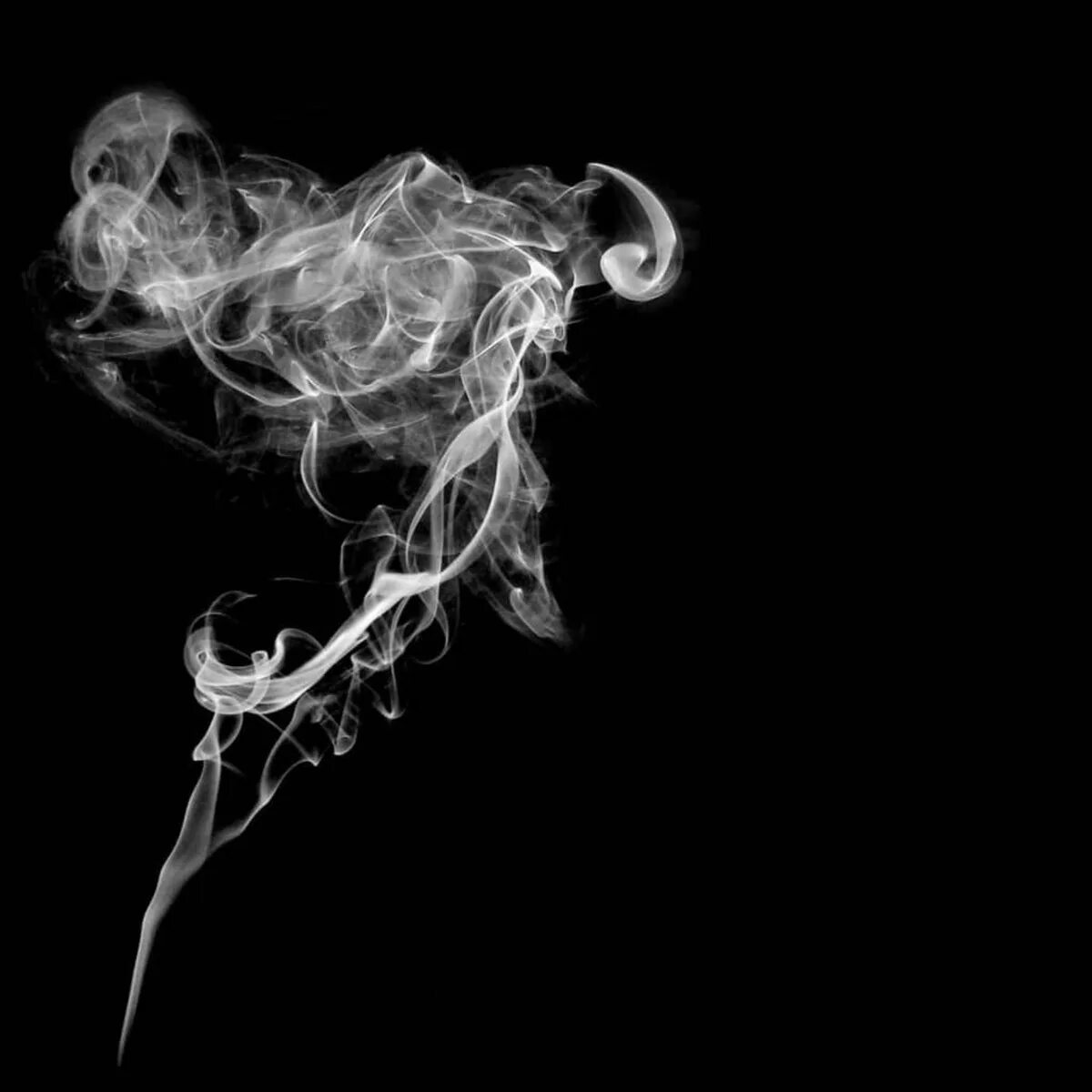 Дым на черном фоне. Smoky body. Skeleton mist smoke. Дым от сигареты для фотошопа. Smoke 31.