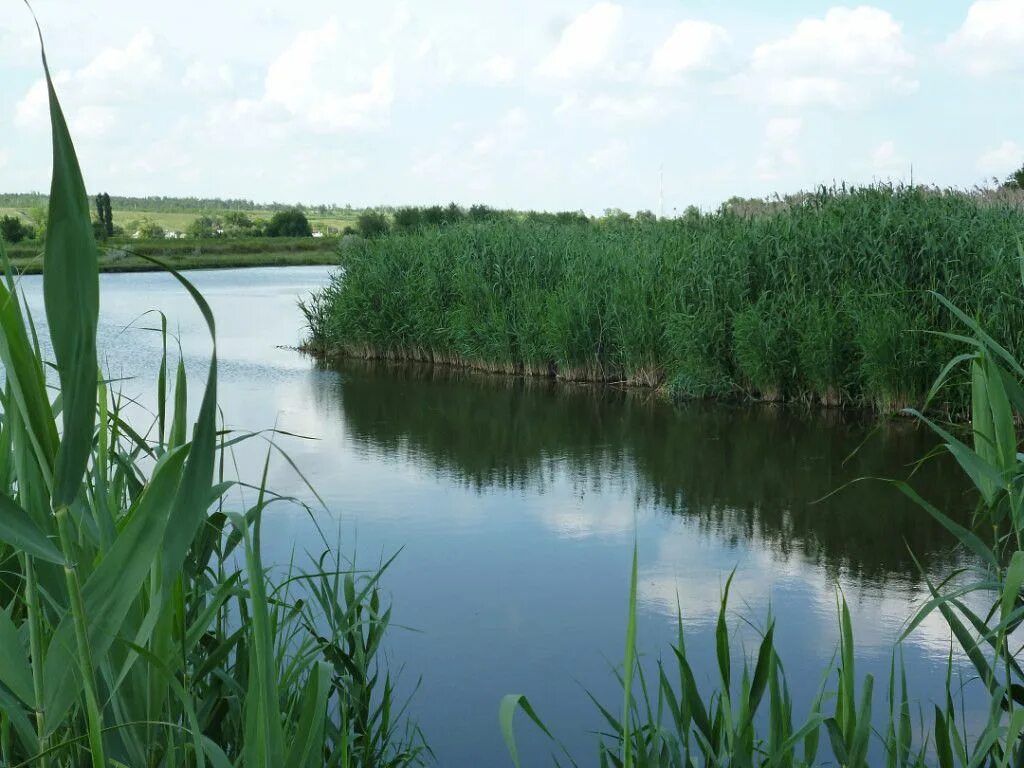 погода ст кагальницкая ростовская область кагальницкий. погода ст кагальницкая ростовская область кагальницкий. погода ст кагальницкая ростовская область кагальницкий. глава кагальницкого района ростовской области. станица задоно кагальницкая школа.