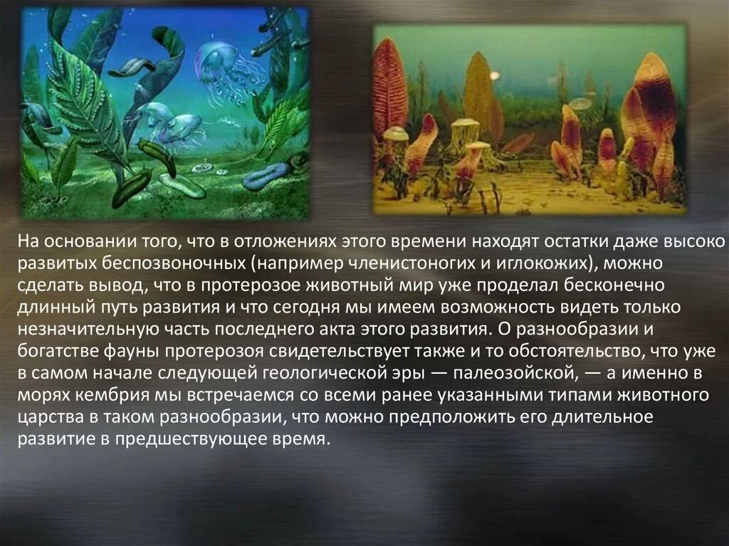 Жизнь возникла в эру. Водоросли в эру протерозой. Протерозой Эра кратко. Этапы развития жизни на земле протерозой. Зеленые водоросли протерозой.