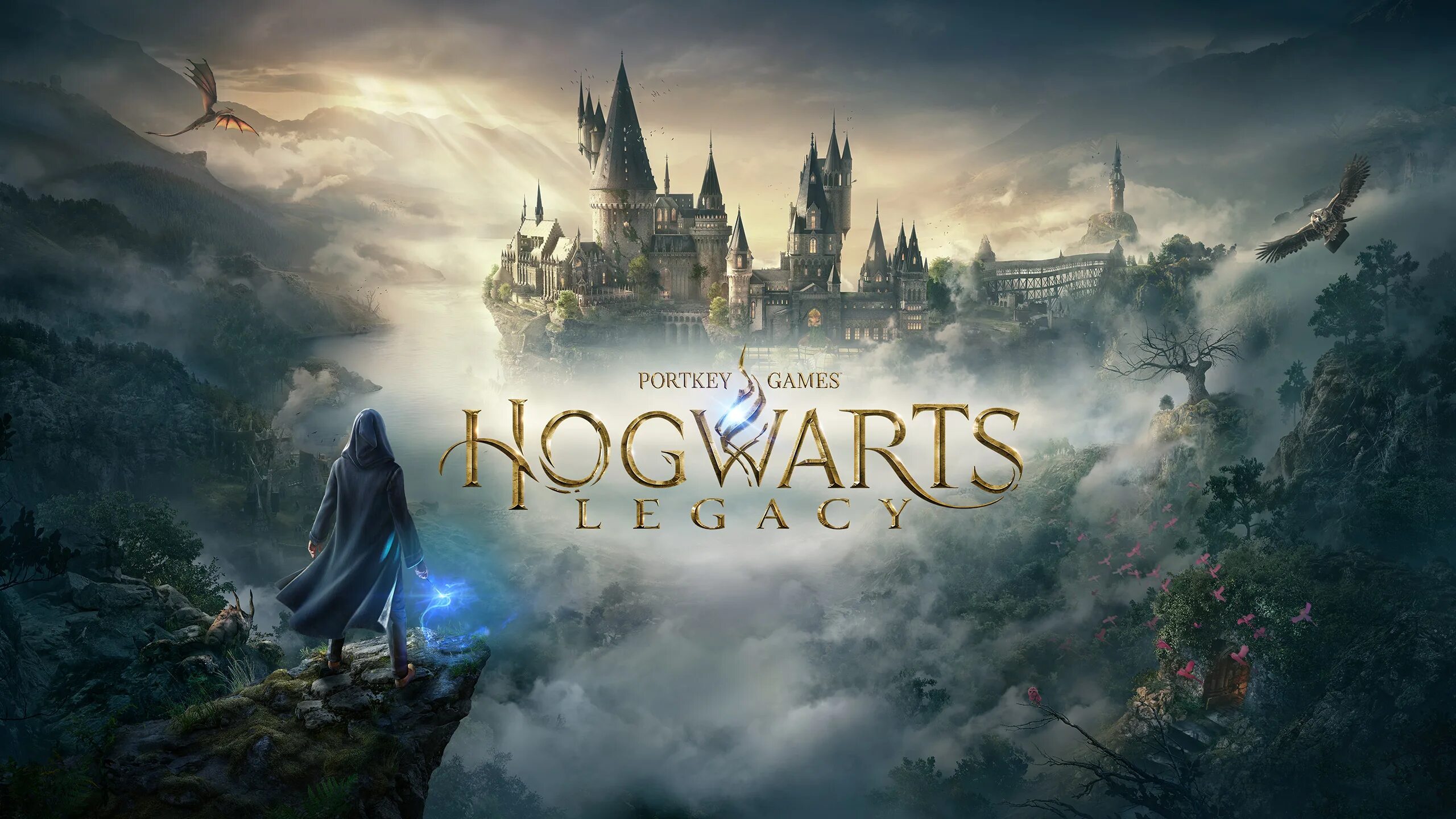 Вымышленная игра поттер. Hogwarts Legacy ps5. Hogwarts Legacy ps5 диск. Hogwarts Legacy Постер.