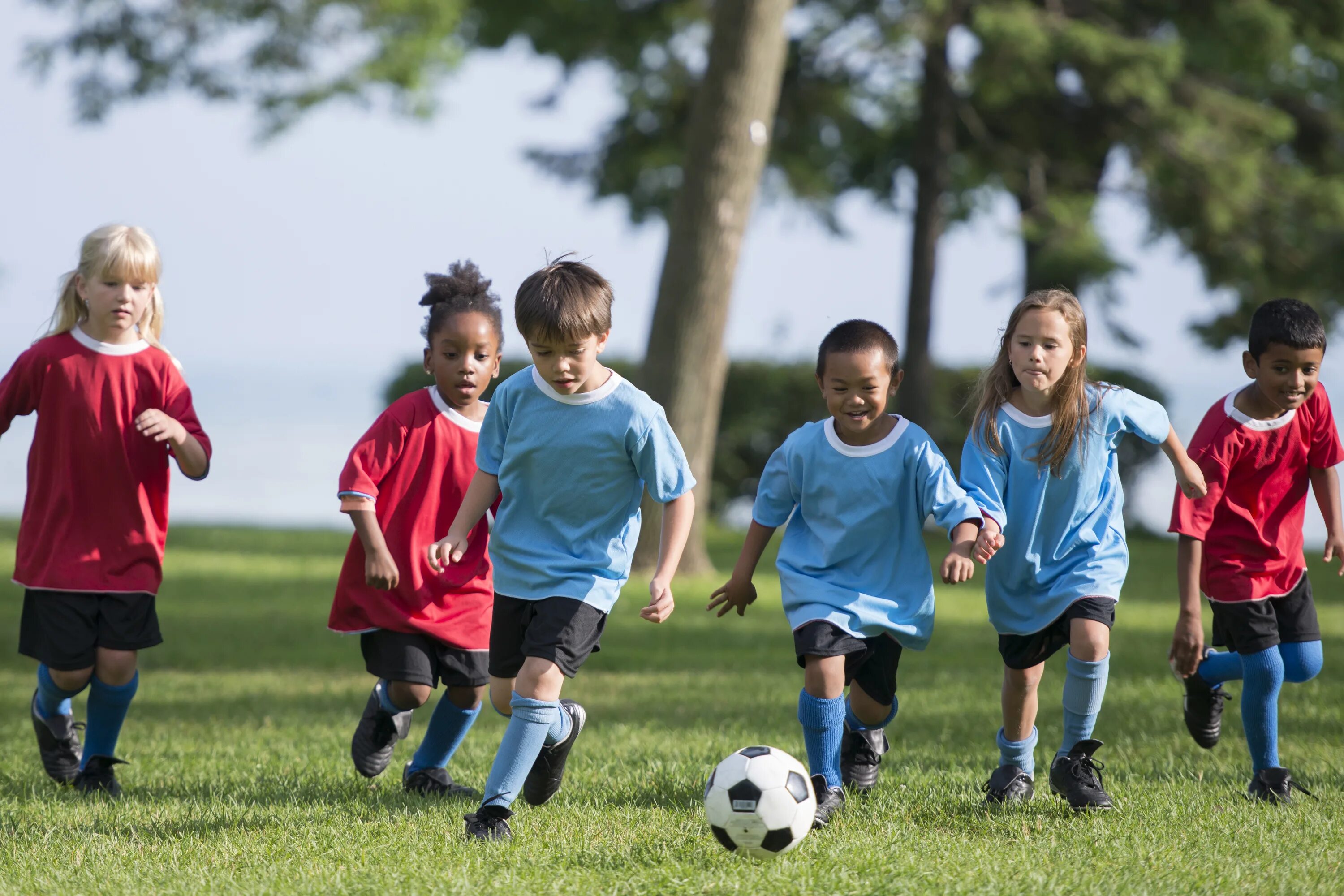 Football is a team game. Спорт дети. Дети играют в футбол. Спортивные игры для детей. Дети играющие в футбол.