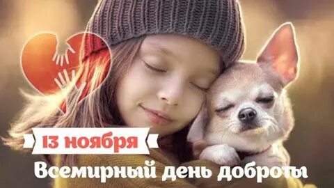 Видео о добром дне