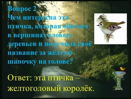 Свое имя эта птица получила