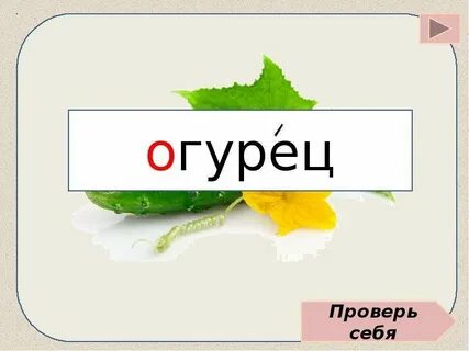 Слово огурцы