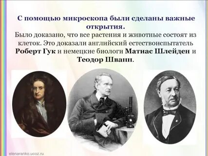 3 великих открытия