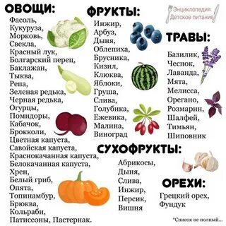 Фрукты с 4 месяцев какие