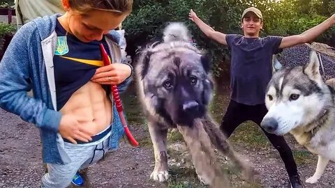 Включи хасмут