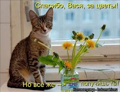 На кой хрен