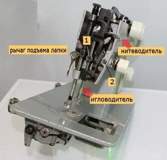 Игла чайка