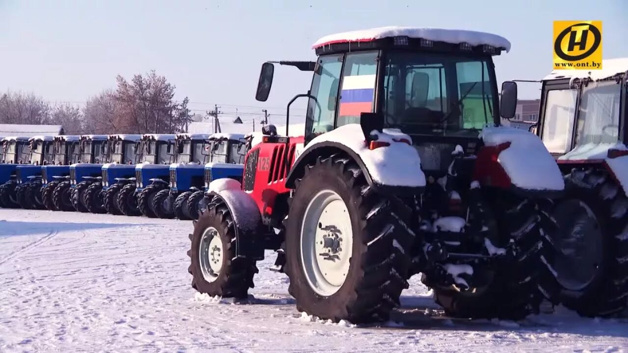 Какой мтз выбрать. Беларус трактор кйтайски. китайский трактор. китайский беларусь трактор. мтз сибирь.