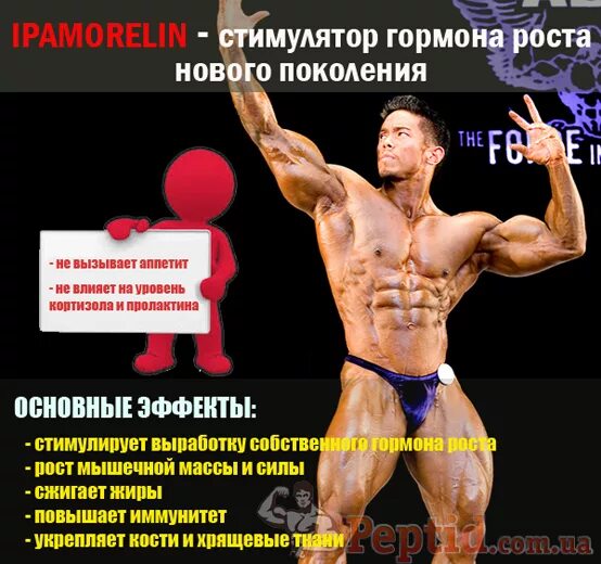 Поможет ли гормон роста. Гормоны роста для мышц. самый эффективный гормон роста. стимулятор гормона роста. лучший гормон роста для набора мышечной массы.