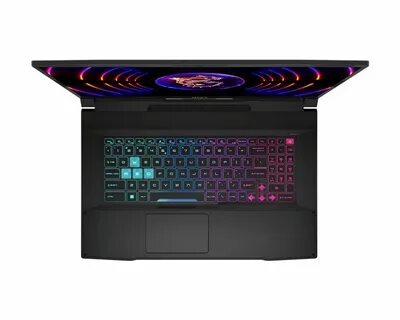 Msi cyborg
