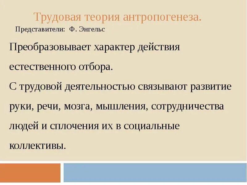 Трудовая теория антропогенеза. Трудовая теория антропогенеза Энгельса. Основные положения трудовой теории антропогенеза. Трудовая суть концепции антропогенеза.