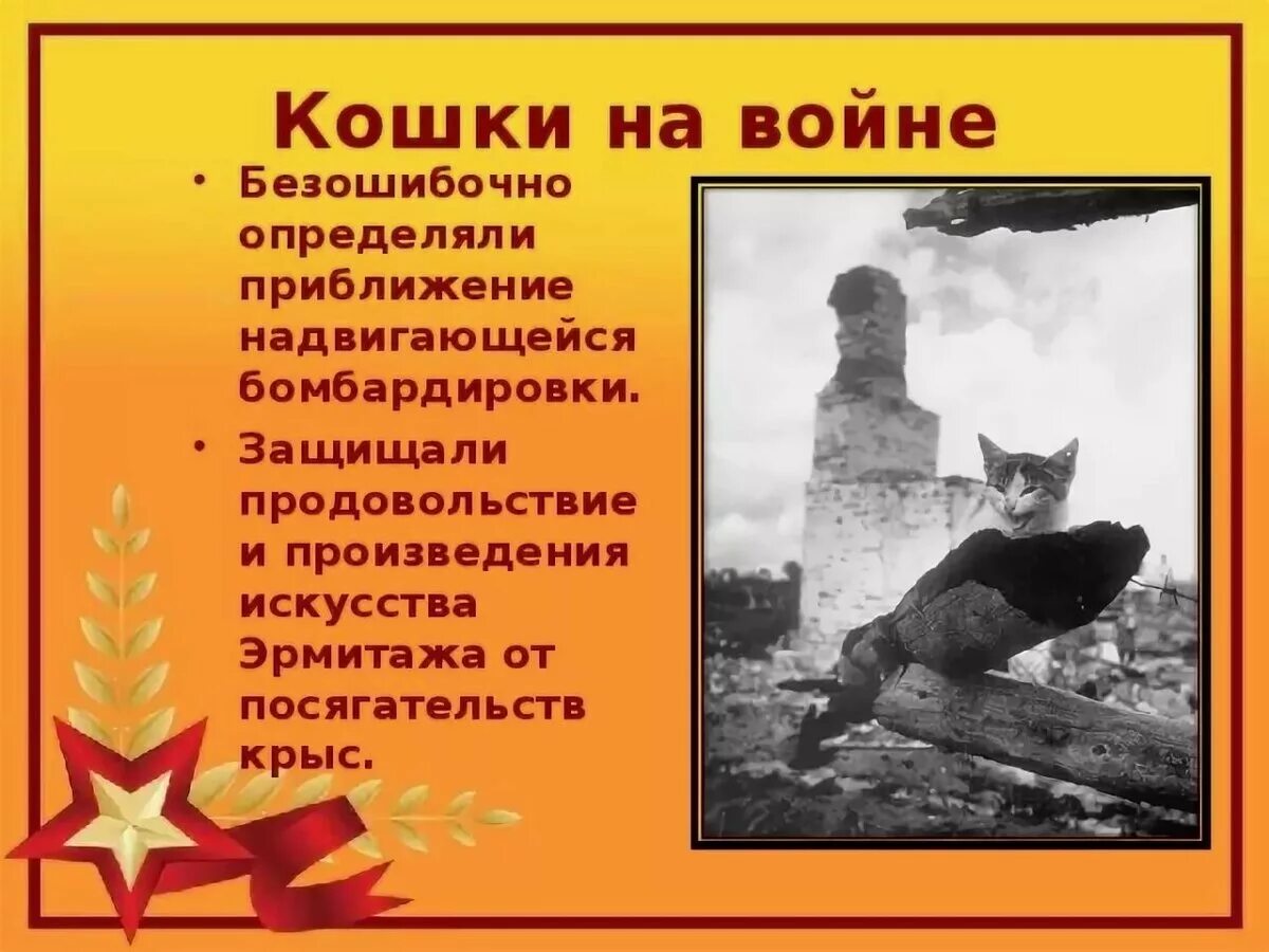 Кошки вов блокада ленинграда. Кошки вов блокада ленинграда. Кот-слухач блокада ленинграда. Животные герои блокады. Кот в блокадном ленинграде.