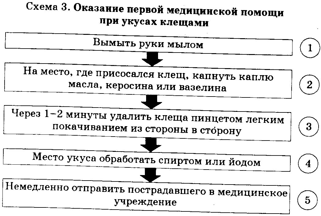 Укус клеща оказание помощи. Схема оказания первой помощи. Оказание первой помощи при укусах. Оказание первой медицинской помощи при укусе клеща. Оказание первой помощи при укусах клещей.