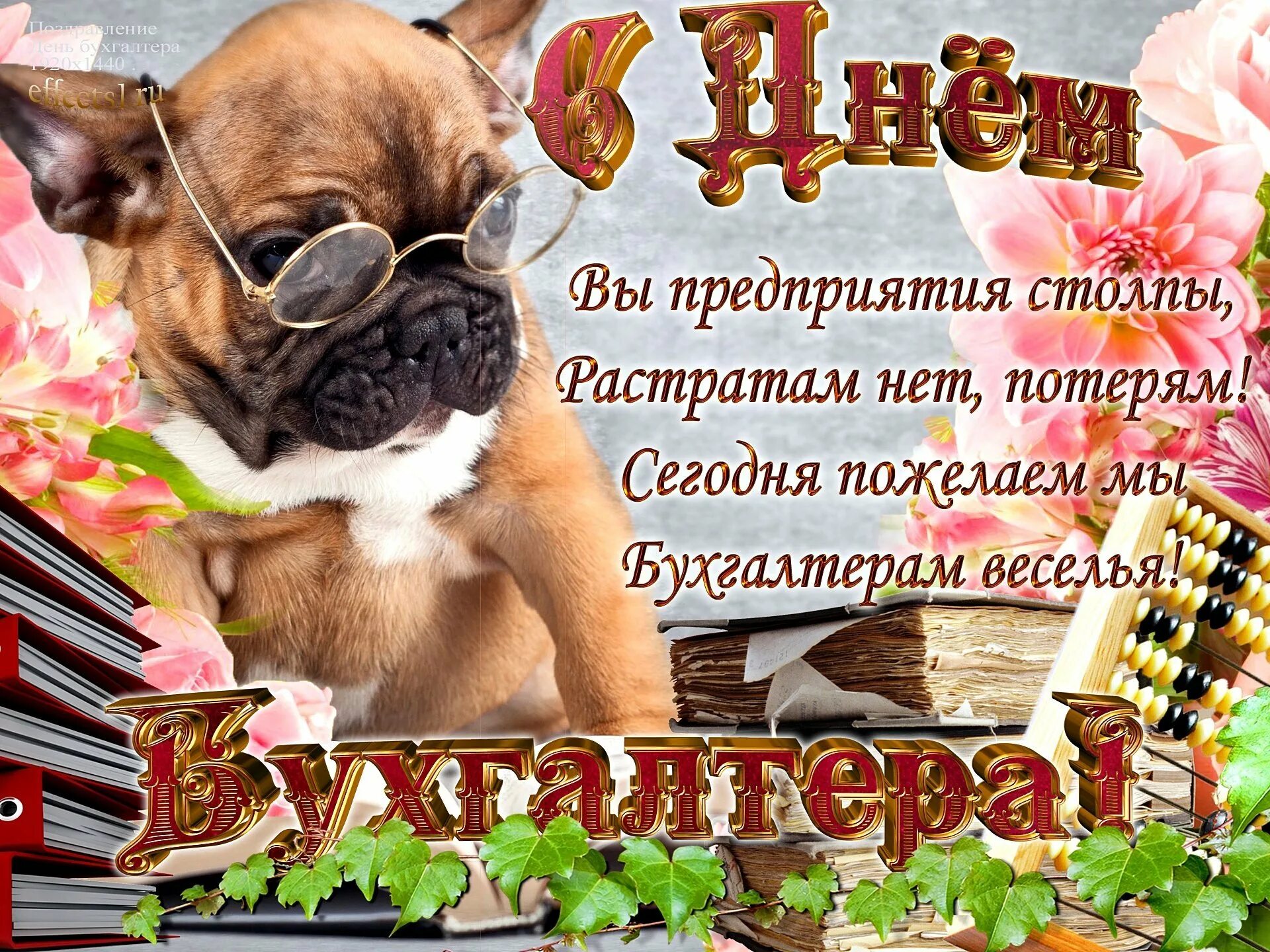 Открытки фото день. С днем бухгалтера. С днём бухгалтера поздравления. С днём бухгалтера открытки. Открытки с днём бухгалтера поздравления.