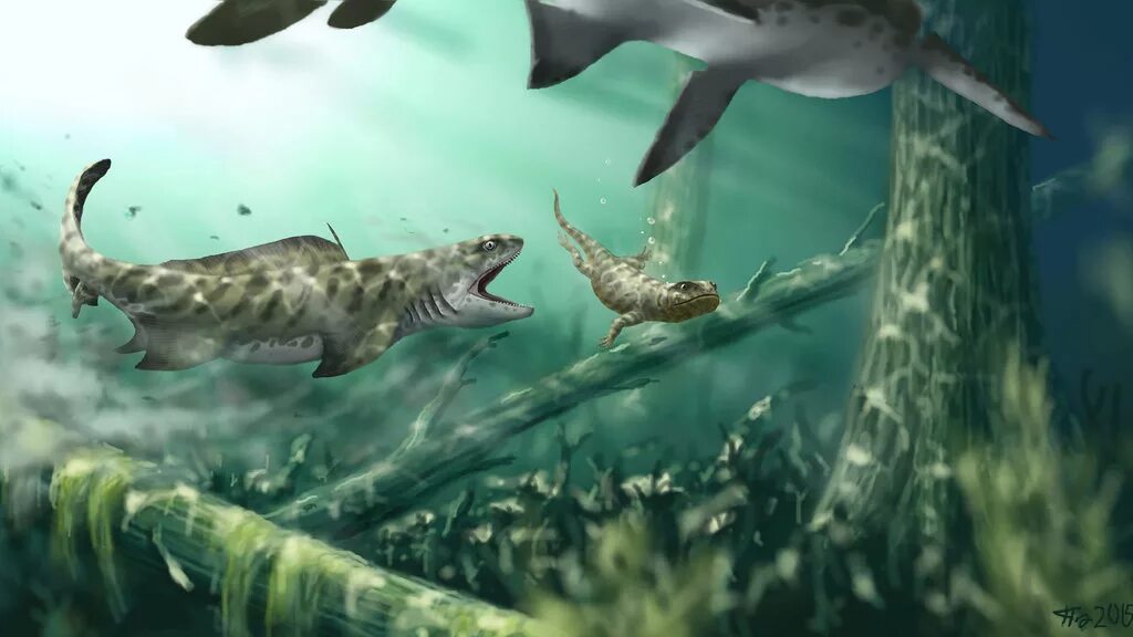 Карбон животные. Первые акулы Девонский период. Рыба акула палеозой. Бафетиды. Акулы каменноугольного периода.