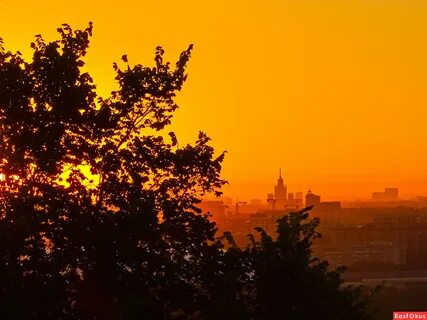 Зоря москва