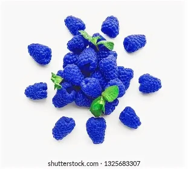 Blue raspberry перевод. Blue raspberry малина. blue raspberry ягода. бывает голубая малина. синяя малина фото.