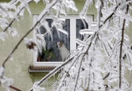 Доброе утро ледяной дождь