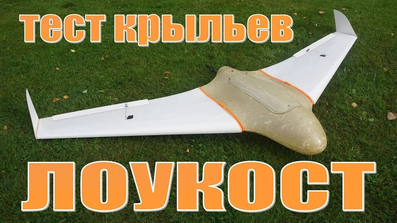 Крылья лорда балауров. Королевский альбатрос и человек. Бпла skywalker x8. Малефисента костюм с крыльями. Рейнджер 2000 планер.