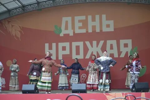 День урожая 2024 иваново