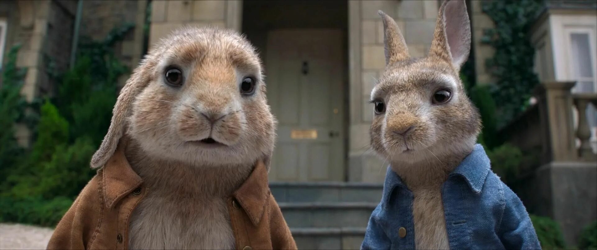 Rabbit movie