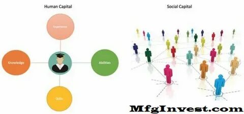 Human capital