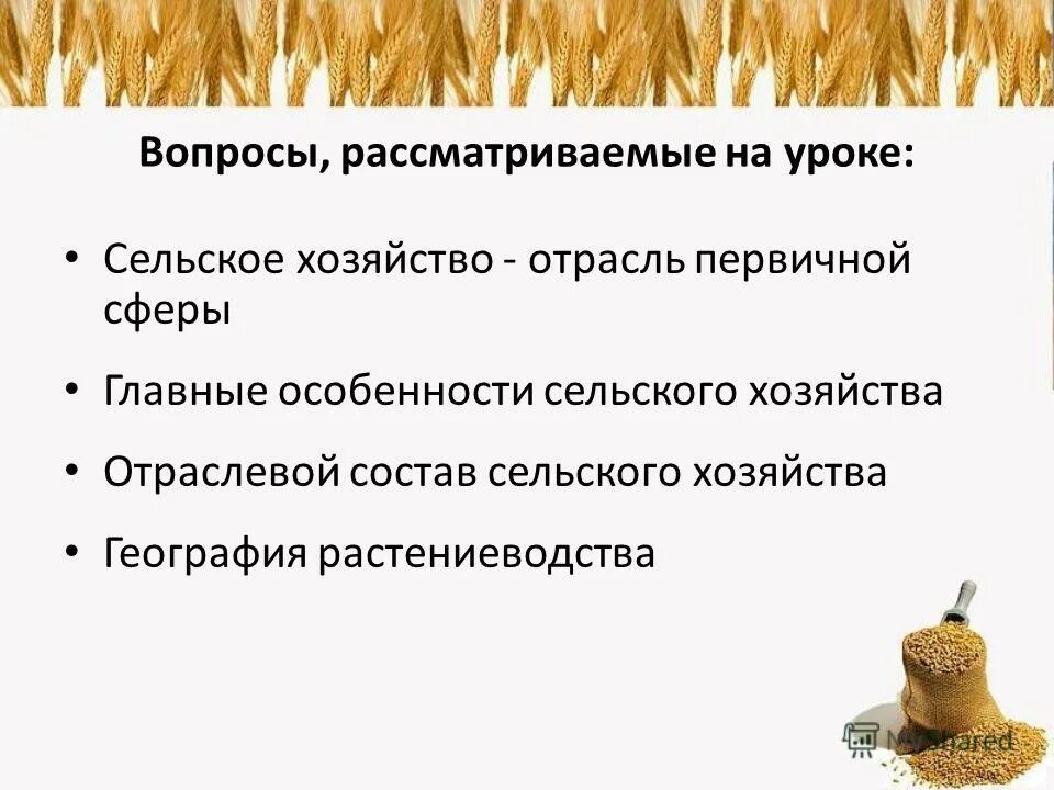 Растениеводство и животноводство контрольная работа. Животноводство и растениеводство в россии вывод. Отрасли растениеводства и животноводства. Тест растениеводство. Растениеводство и животноводство контрольная работа.