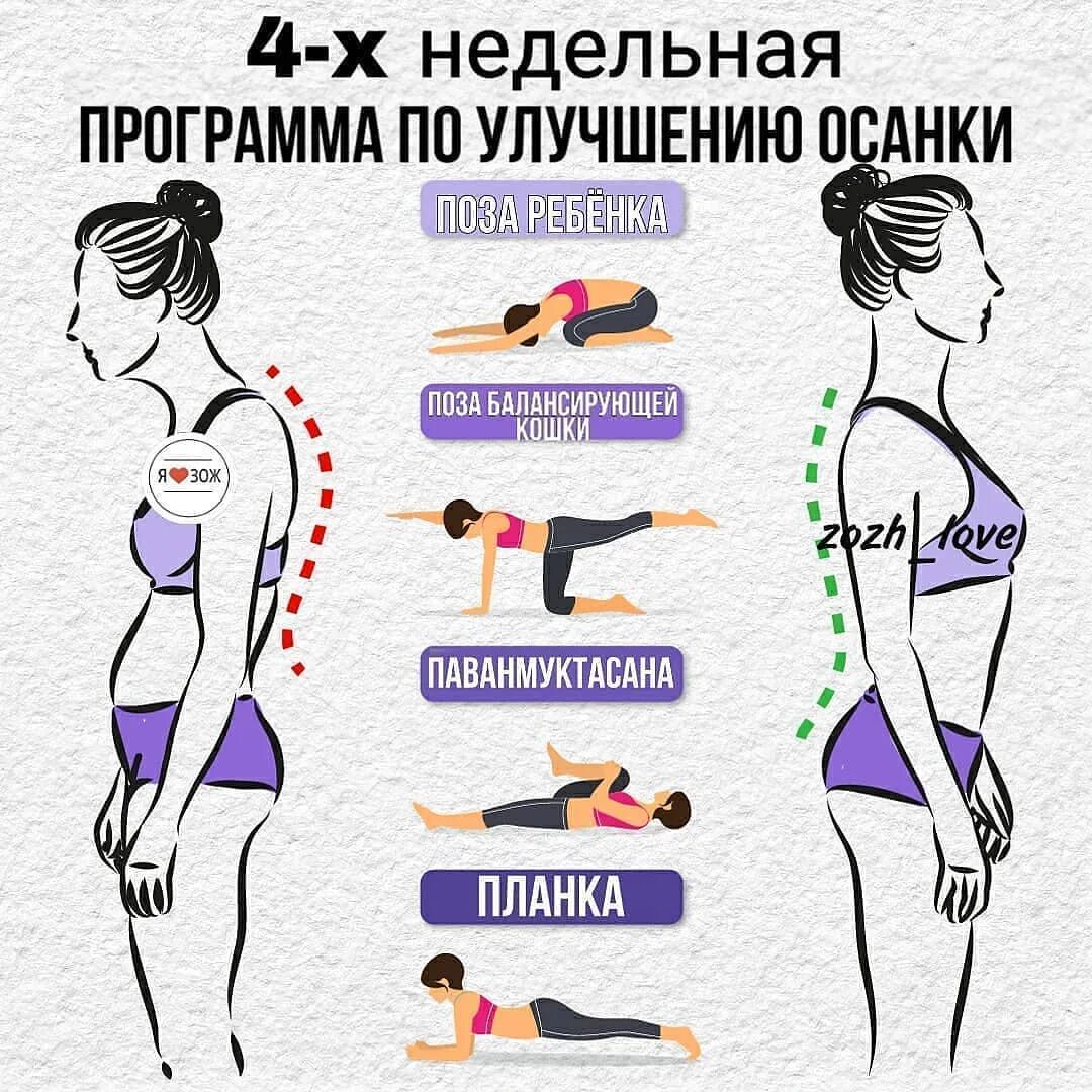 Программа для спины для девушек. Упражнения для осанки. упоожениниядля осанки. комплекс упражнений для осанки. упражнения для осанки спины.