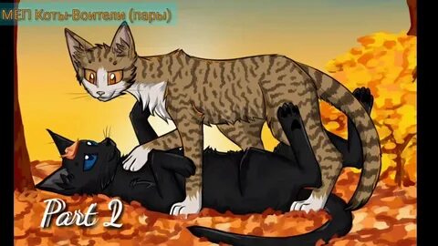 Грач и листвичка коты