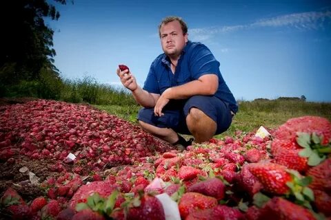 Strawberry guy
