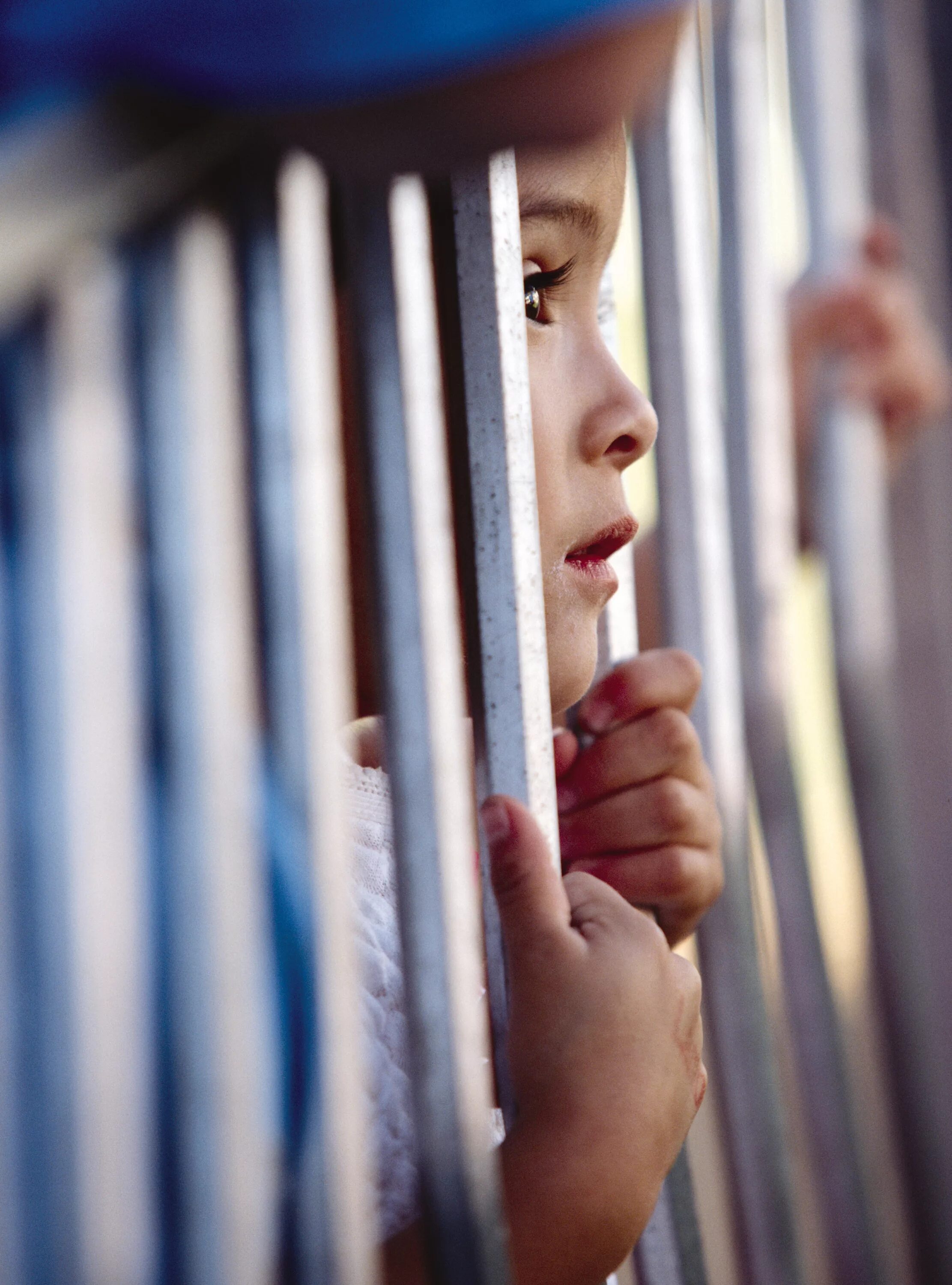 Through the bars. Through the bars