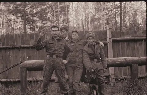 Пп 2568