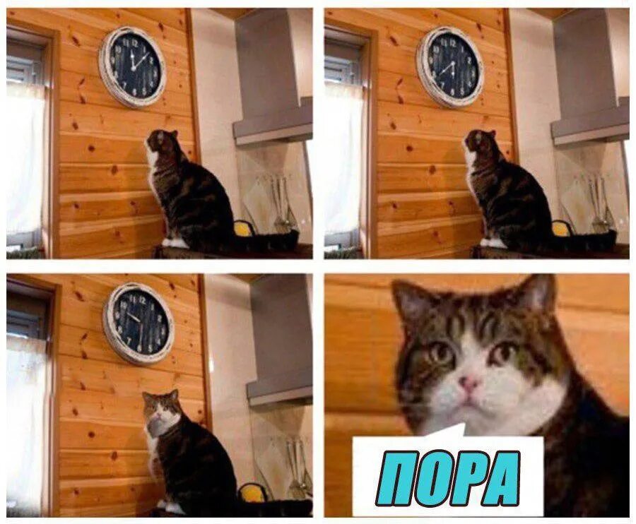 Пришла пора решать. Мемы с котом и часами. кот и часы мем. мем с котом и часами пора. кажется я опоздал.