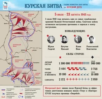 Количество напавших на курск