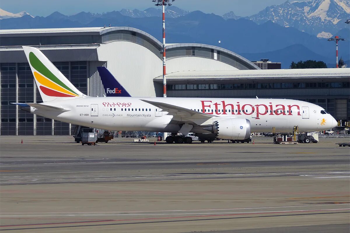 Ethiopian airlines рейс. Ethiopian Airlines 787 Dreamliner. 787-8 Ethiopian Airlines авиакомпания. Boeing 787-8 Эфиопиан. Ethiopian Airlines самолеты.