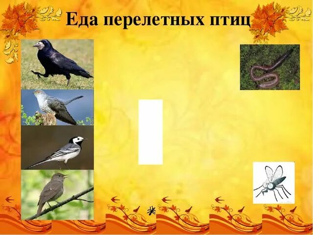 Презентация перелетные птицы весной подготовительная группа