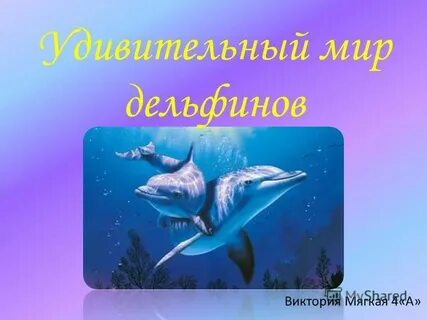 Проект удивительный мир