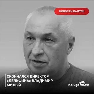 Дельфин калуга сайт